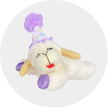 Toy