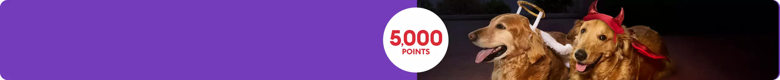5,000 points callout & a dog wearing a halo costume & another dog wearing a devil costume