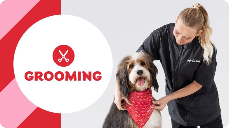 Grooming logo with a pet stylistg putting a bandana on do