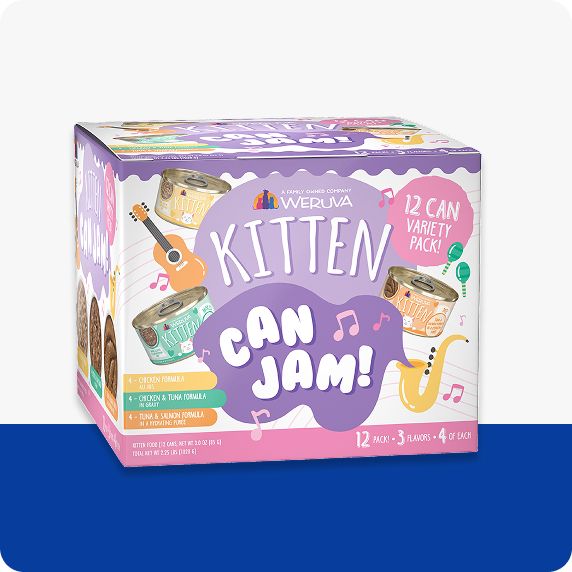 Weruva wet food variety pack