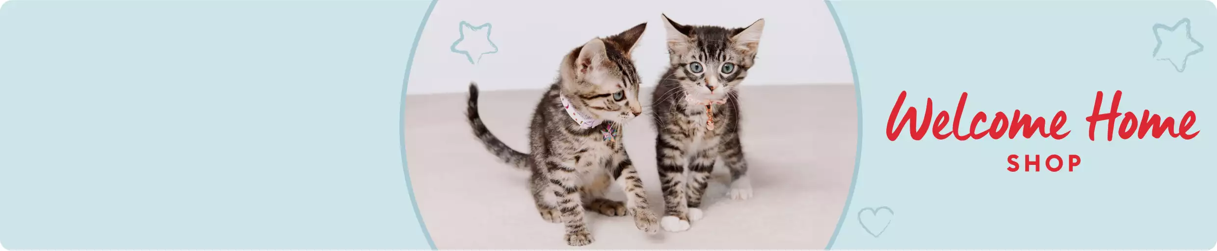 Two blue-eyed tabby kittens interacting & Welcome Home Shop