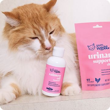 Cat shown with YumWell salmon oil & urinary support products