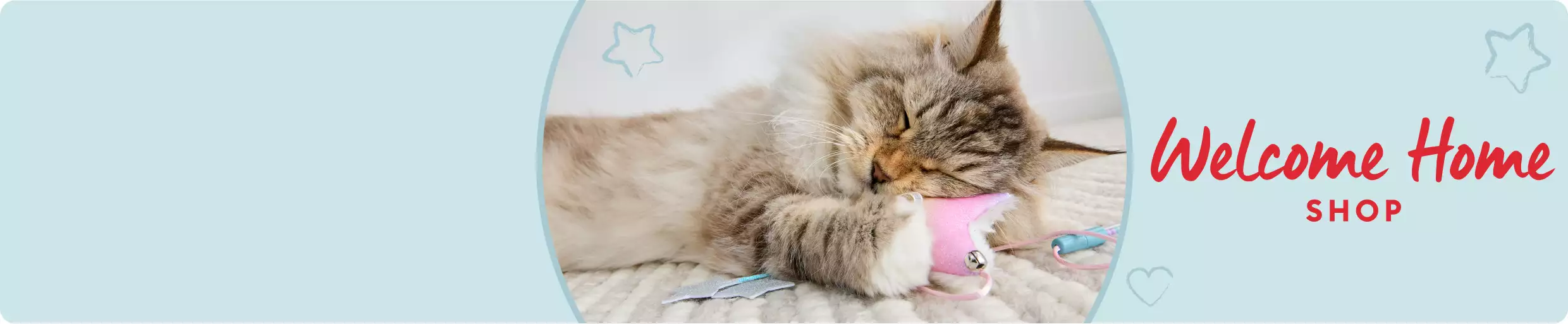 Long-haired cat resting cheek on favorite jingle toy with Welcome Home Shop