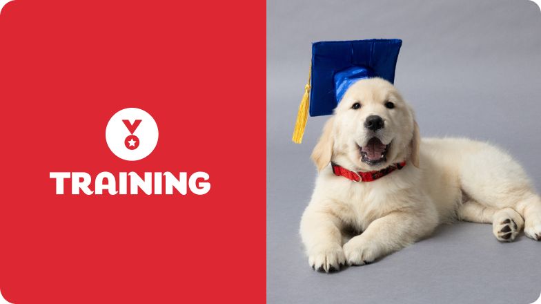 Smart Pet Care Training Behavior Nutrition Essentials