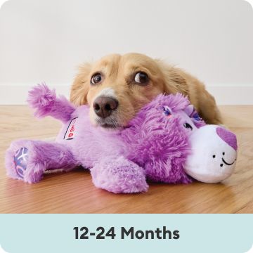 Small golden dog with purple lion plush toy: 12-24 Months