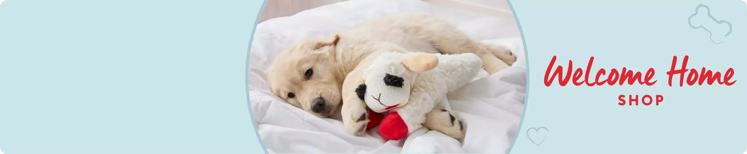 Golden retriever puppy snuggled in bed with Lamb Chop toy with Welcome Home Shop