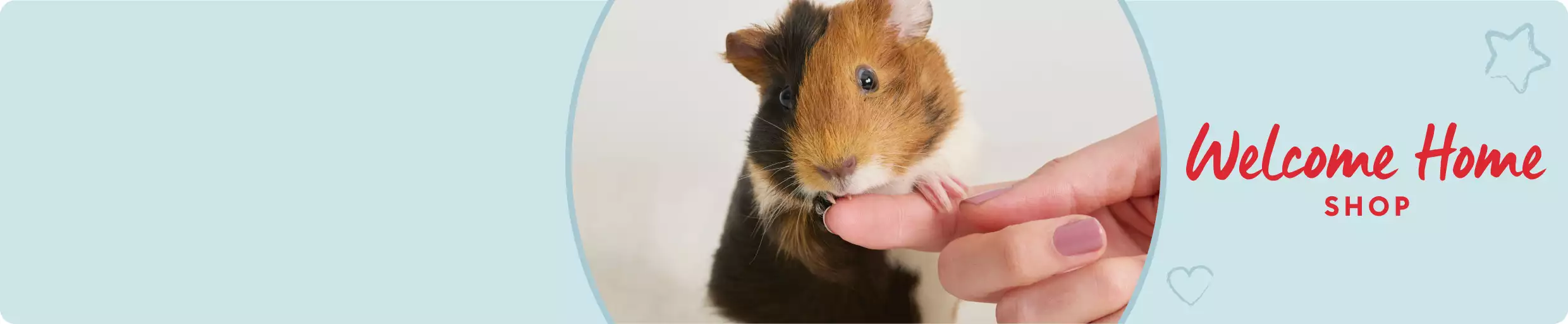 Close-up of hamster in hand holding pet parent finger with Welcome Home Shop