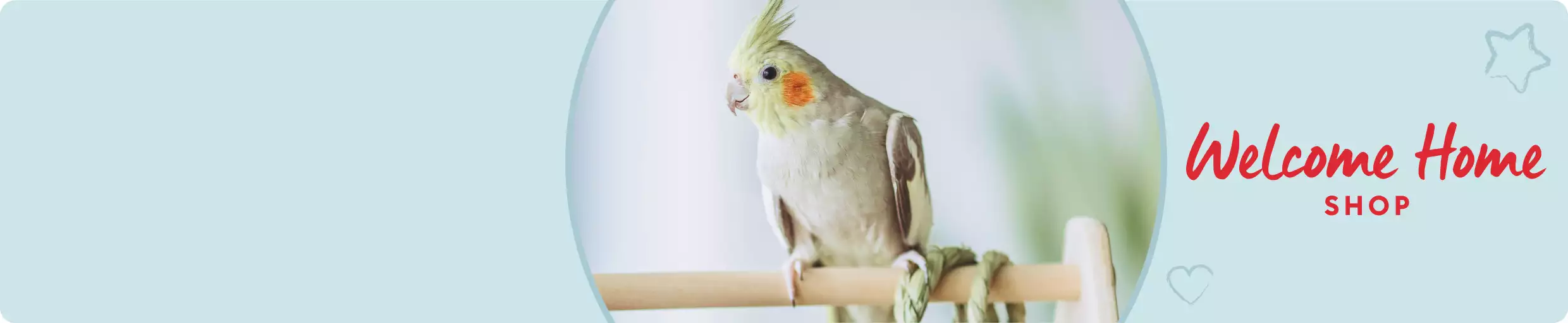 Close-up of cockatiel sitting on perch with Welcome Home Shop