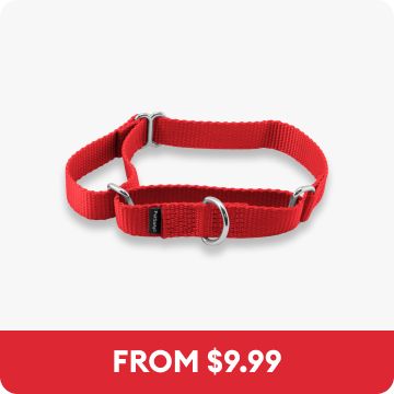 Red PetSafe Martingale Nylon Dog Collar & the callout, From $9.99