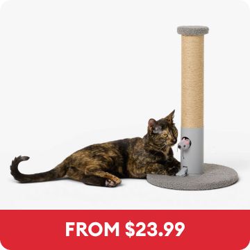 Whisker City Peeking Mouse Cat Scratching Post & the callout, From $23.99