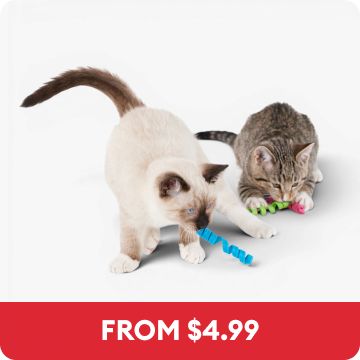 Two cats playing with Whisker City Spring Toys & the callout, From $4.99