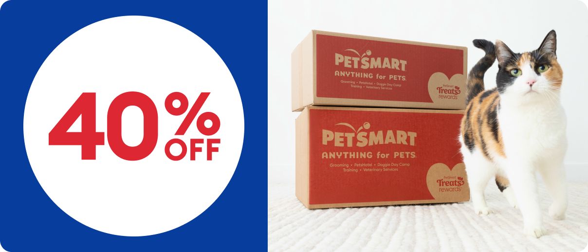 Calico cat with PetSmart boxes in background