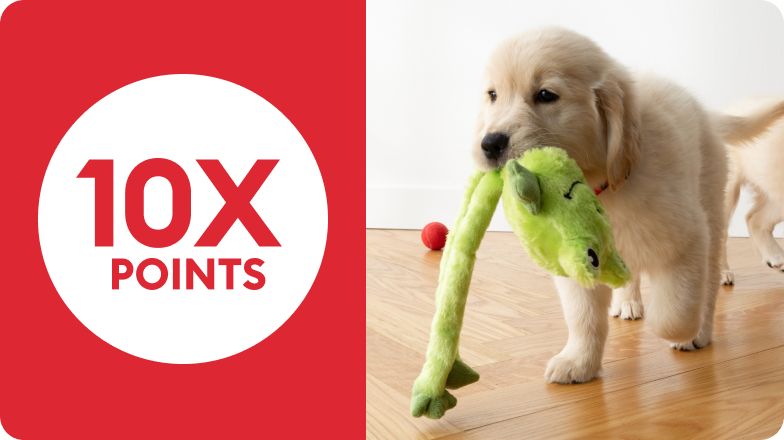 Puppy carrying plush green animal toy in mouth