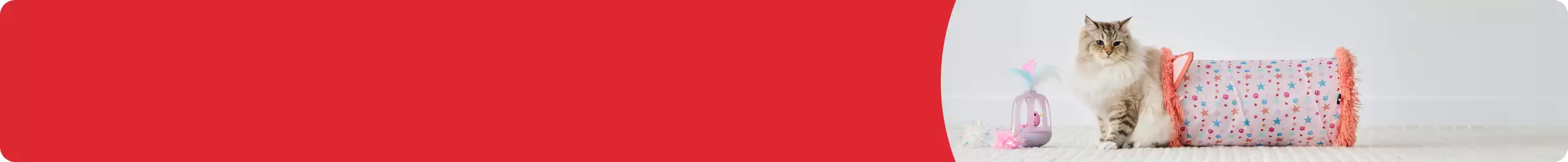 Long-haired cat emerging from cat tunnel with variety of other toys