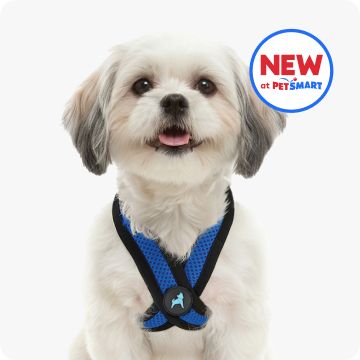 New at PetSmart text and a dog wearing a Gooby harness