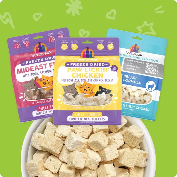 image of freeze dried cat treats in a bowl