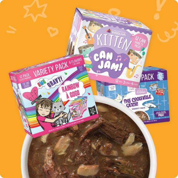 Image of variety pack cat food showing a bowl of cat food