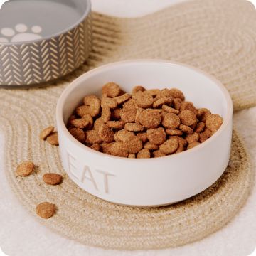 Dry kibble in a white ceramic pet bowl on a woven mat