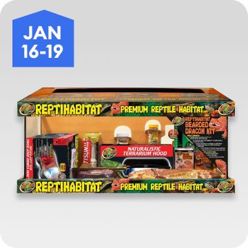 Reptile habitat, January 16–19