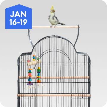 Bird perched on top of a cage, January 16–19