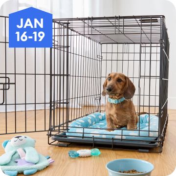 Puppy sitting in a wire crate with toys & bedding, January 16–19
