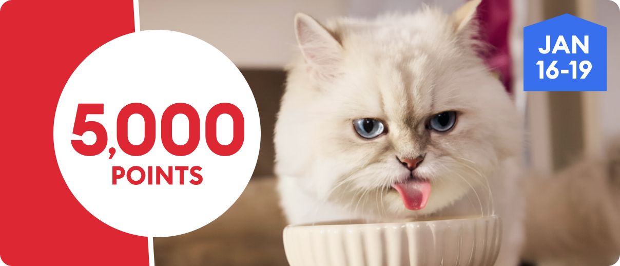 5,000 points promotion with a white cat drinking from a bowl, January 16–19