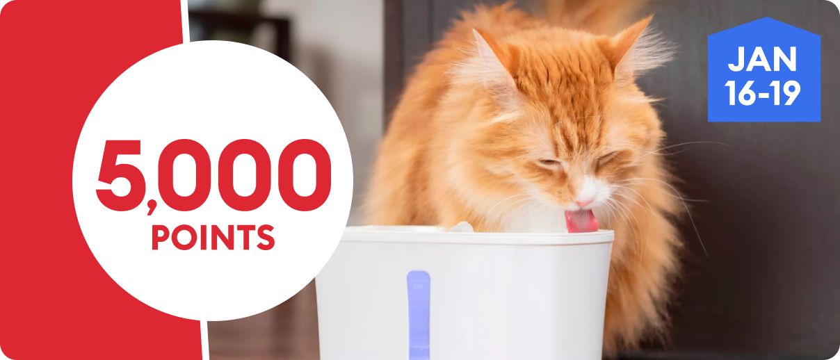 5,000 points promotion with an orange cat drinking from a water fountain, January 16–19