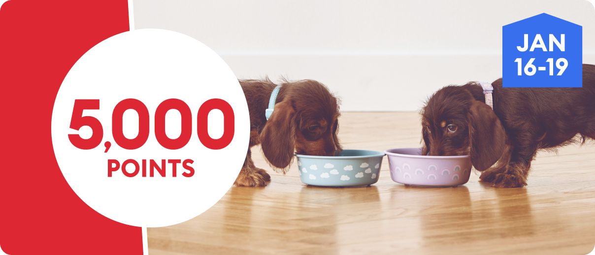5,000 points promotion with two puppies eating from bowls, January 16–19