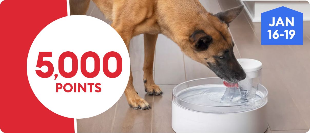 5,000 points promotion with a dog drinking from a water bowl, January 16–19