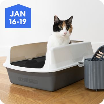 Black & white cat standing in a covered litter box, January 16–19
