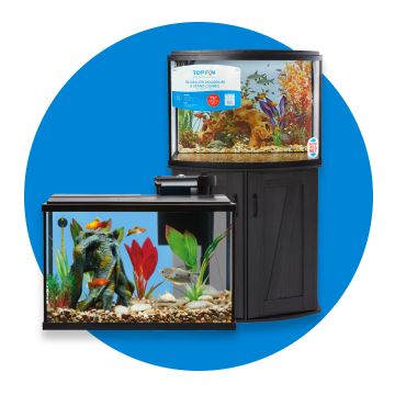 Fully stocked aquarium in front of another aquarium on a stand with a blue background