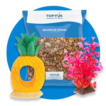 Various colorful pieces of aquatic decor including a pineapple, all with a blue background