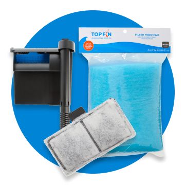 Package of filters with a loose filter in front of it, all with a blue background