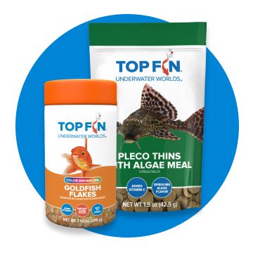 Canister of Top Fin flakes next to a bag of Top Fin Pleco Thins, on a blue background