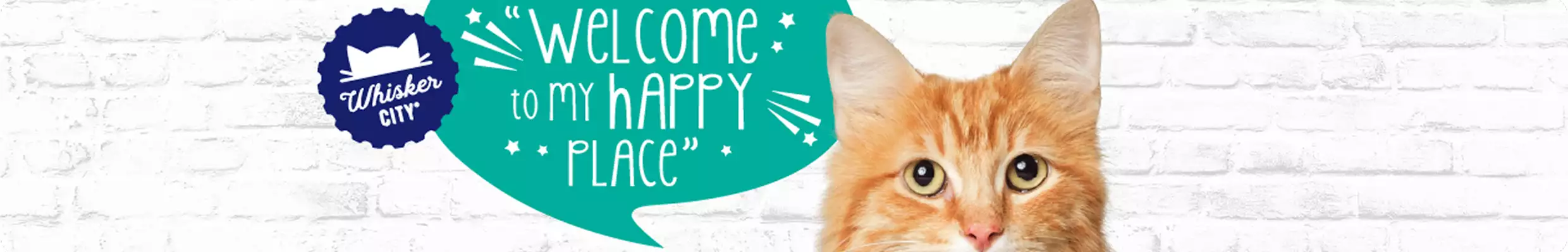 Orange cat with speech bubble that says "Welcome to my happy place" & a blue Whisker City logo