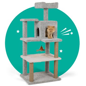 Tall grey tower with a cat on a shelf