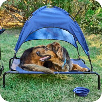 Brown & tan dog outdoors with Arcadia Trail elevated dog bed with tent canopy