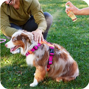 Dog on grass being spritzed with Arcadia Trail product