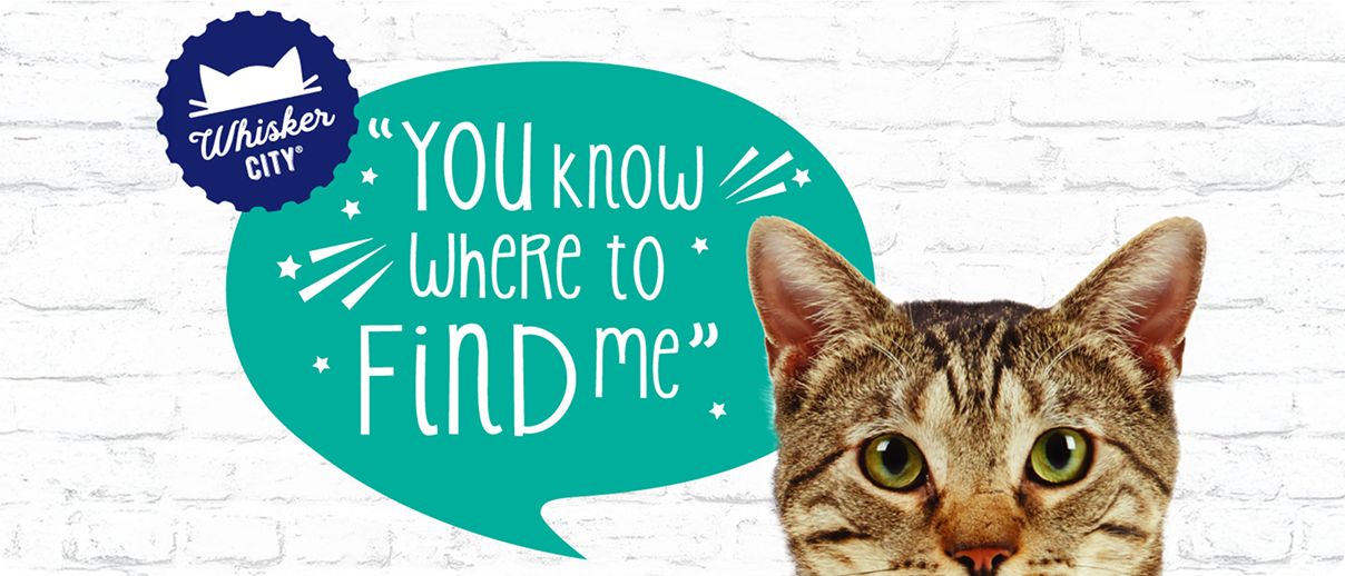 Cat in front of white brick wall with speech bubble that says "You know where to find me" and a Whisker City logo
