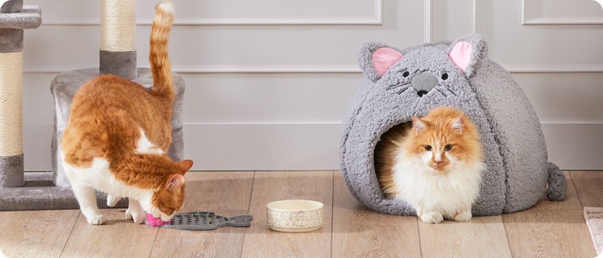 Two orange/white cats, one playing with a toy and one coming out of a hut that looks like a mouse