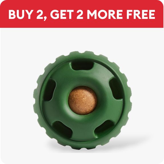 WOOF Pupsicle Treat Dispensing Dog Toy