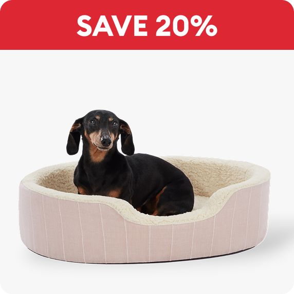 Dog laying on a Top Paw Orthopedic Cuddler Striped Dog Bed