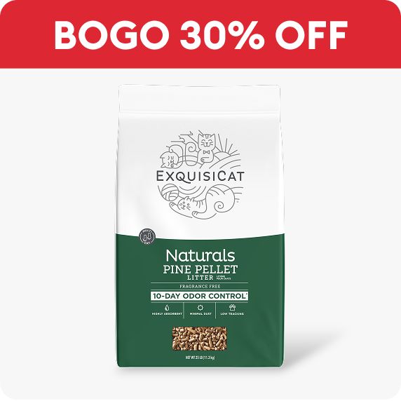 ExquisiCat naturals pine pellet litter