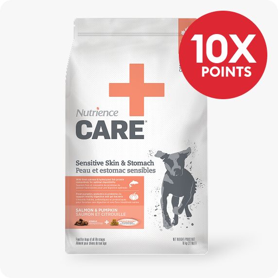 10X points callout & a bag of Nutrience Care dog food