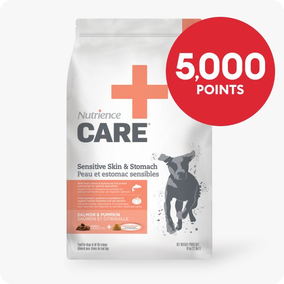 Bag of Nutrience Care Dog Food with '5,000 points' text in a red circle