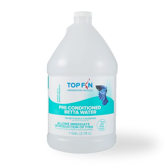 Top Fin pre-conditioned betta water