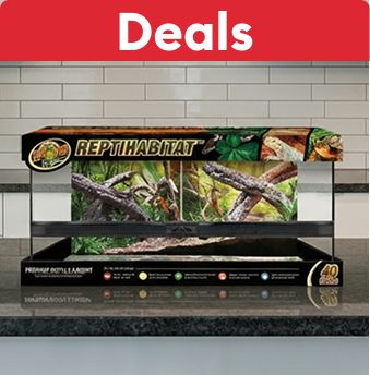 Deals callout & a Zoo Med reptile habitat