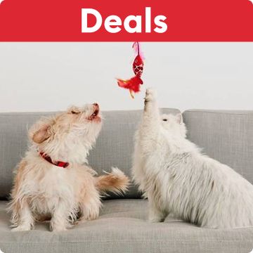 Deals callout and a dog & a cat sitting on a couch playing with a toy