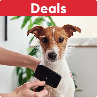 Deals callout & a dog getting brushed