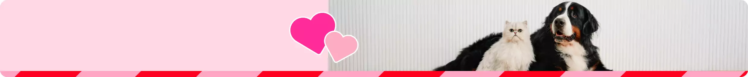 Two pink heart graphics & stripes and a dog & cat sitting together